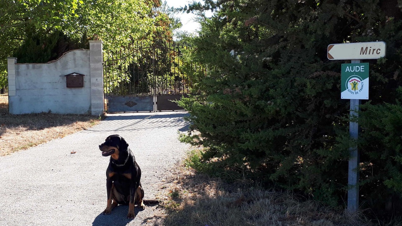 Photo of Outdoor in Saint-Julien-de-Briola