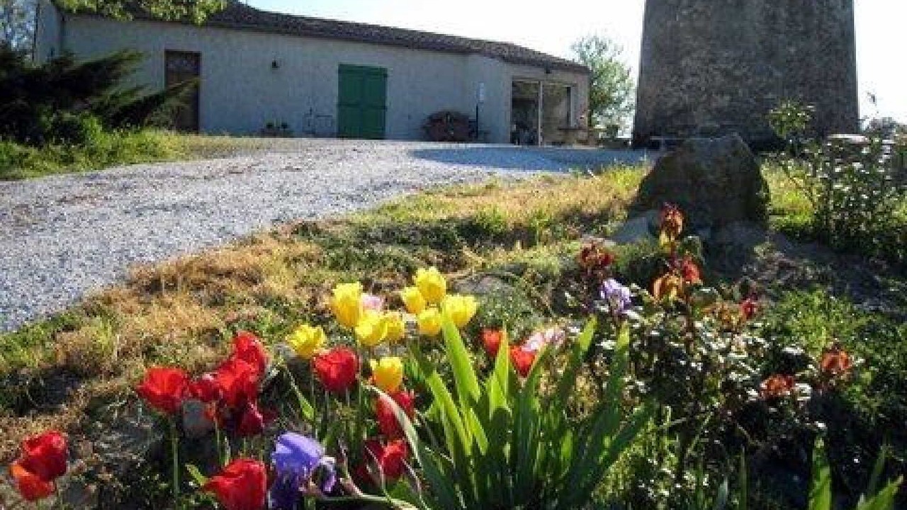 Photo of Outdoor in Arzens