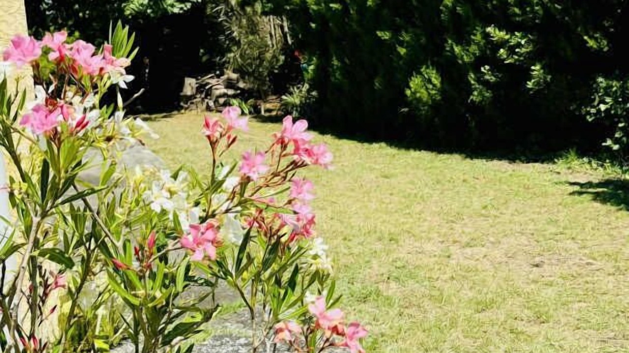 Photo of Outdoor in Saint-Martin-Lalande