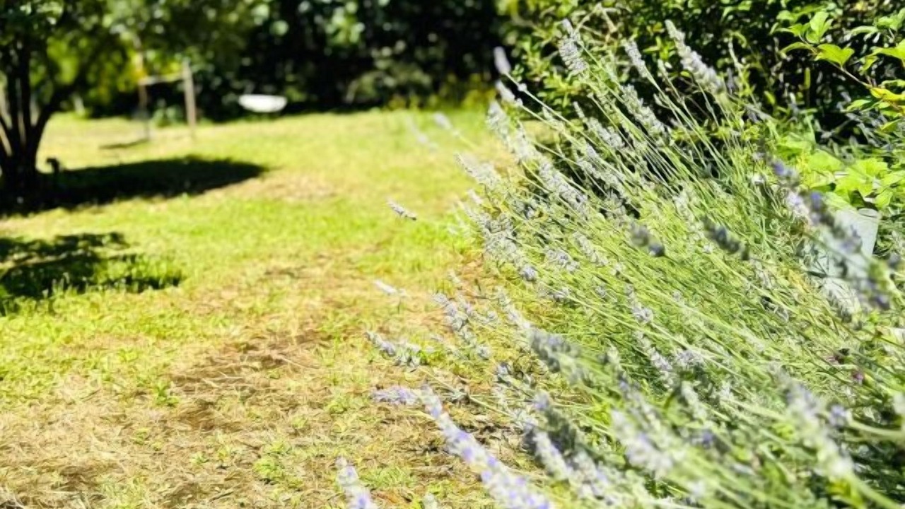Photo of Outdoor in Saint-Martin-Lalande