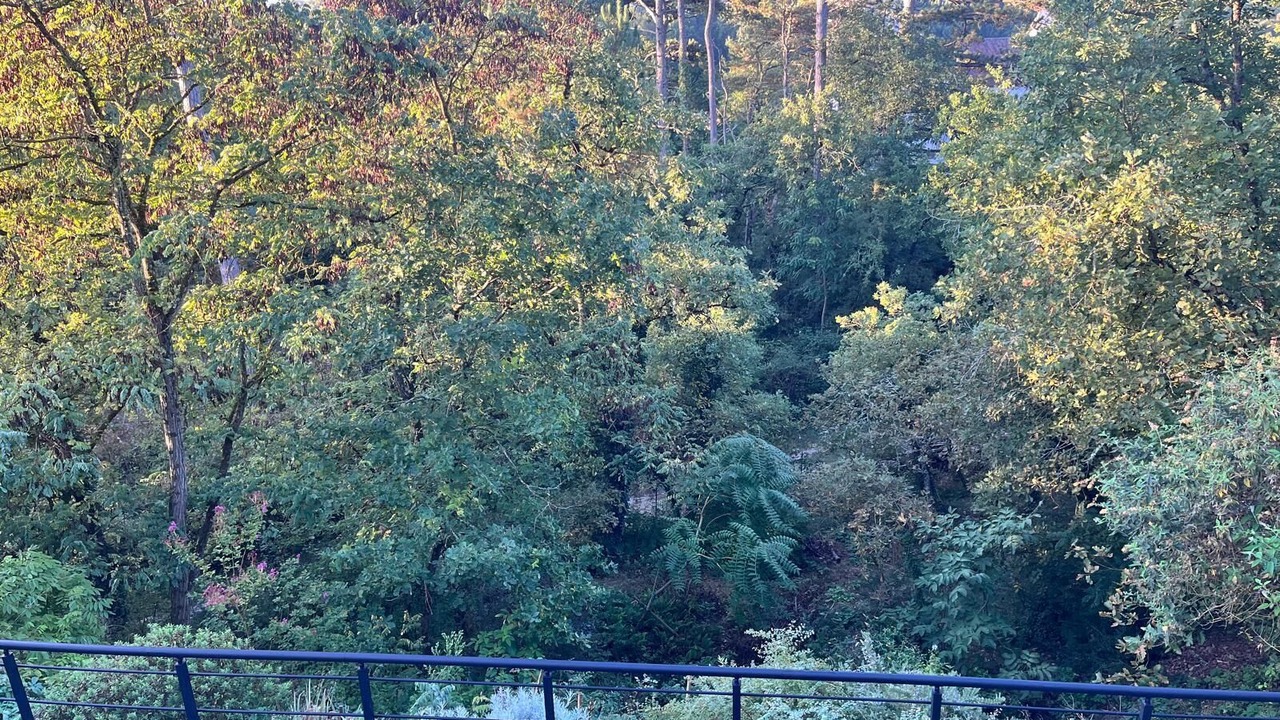 Photo of Others in Nanteau-sur-Essonne
