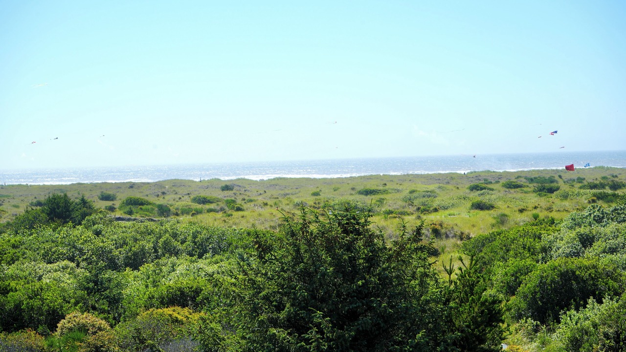 Photo of Others in Ocean Shores