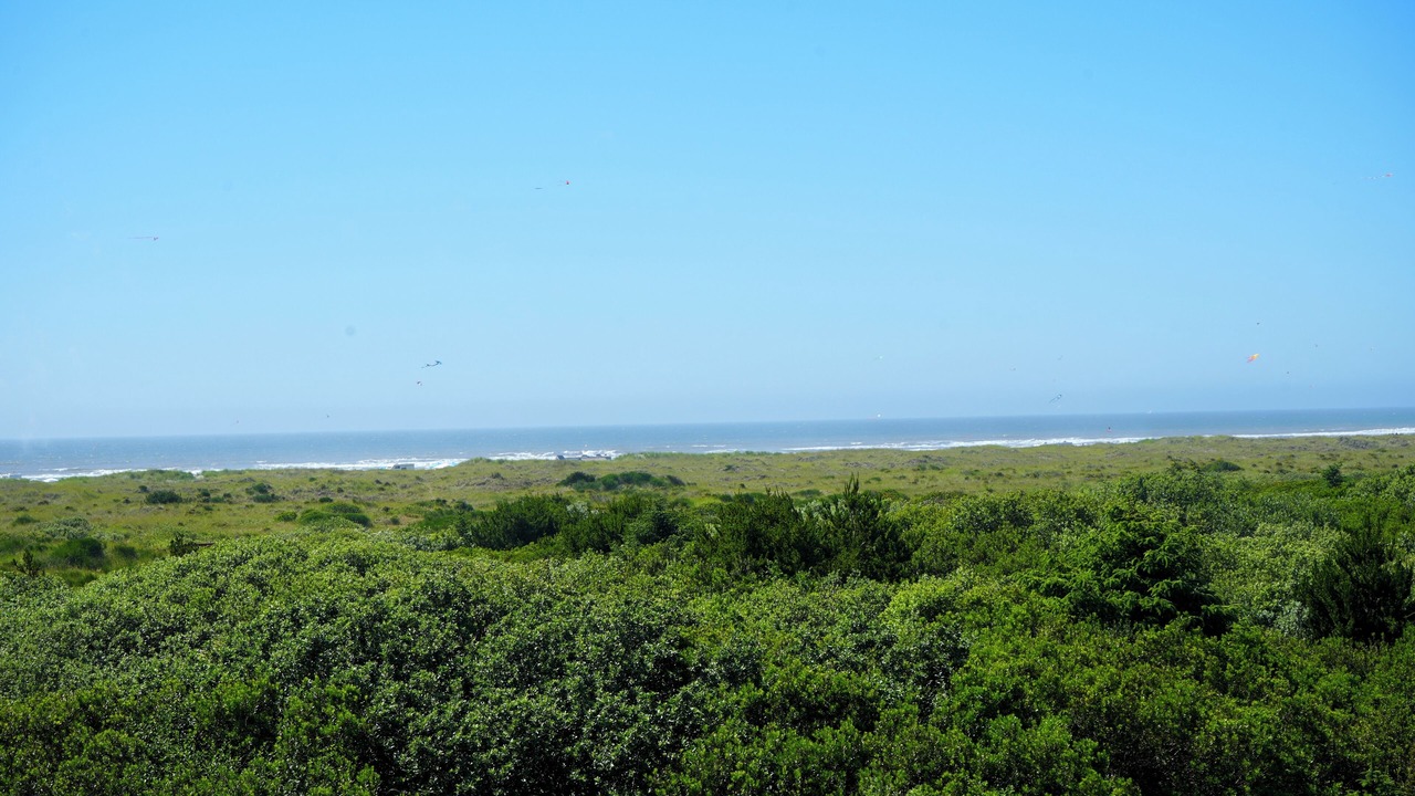Photo of Others in Ocean Shores