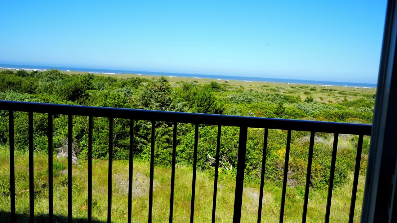 Photo of Others in Ocean Shores