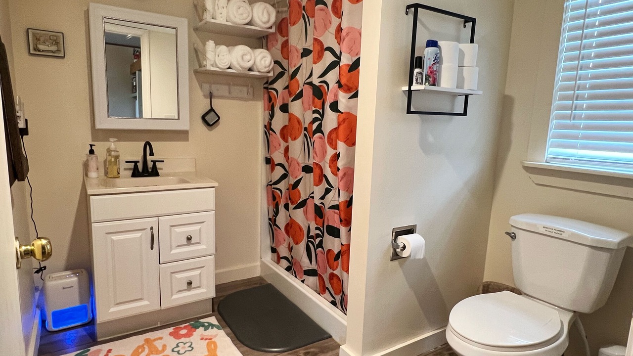 Photo of Bathroom in Saint Joe