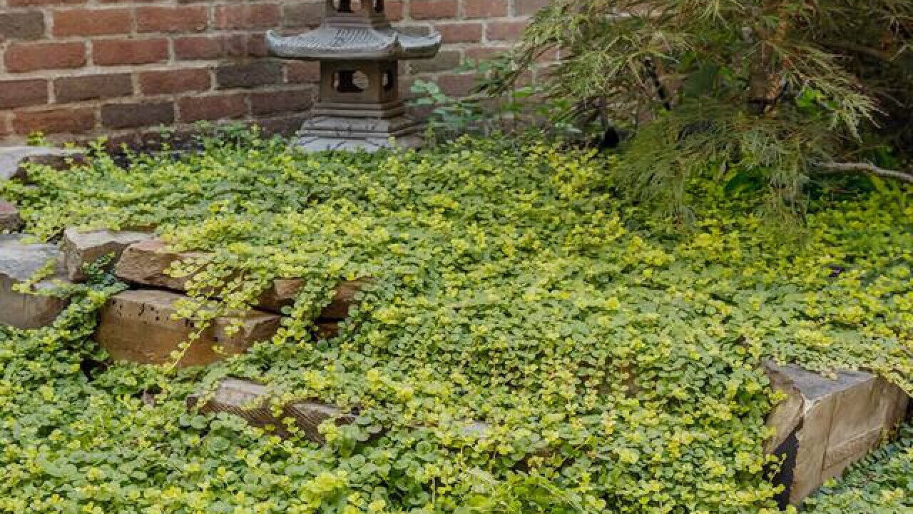 Photo of Outdoor in Pendleton