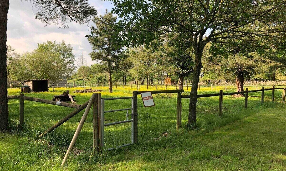 Photo of Outdoor in La Boissiere-de-Montaigu