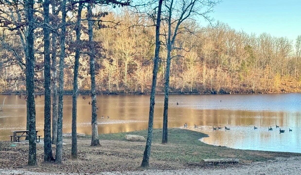 Photo of Others in Cabot