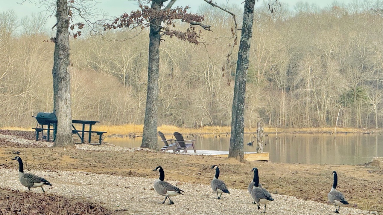 Photo of Others in Cabot