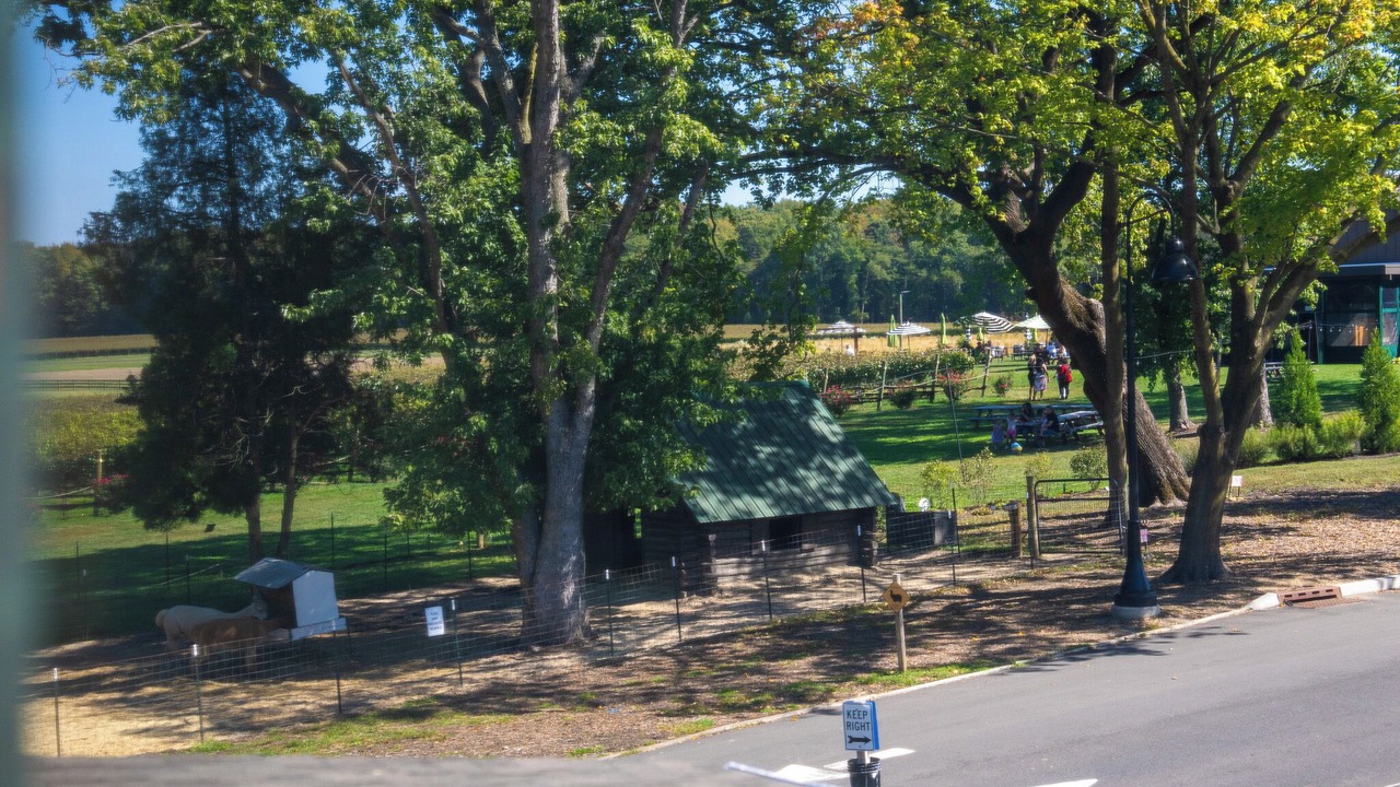 Photo of Others in Voorhees