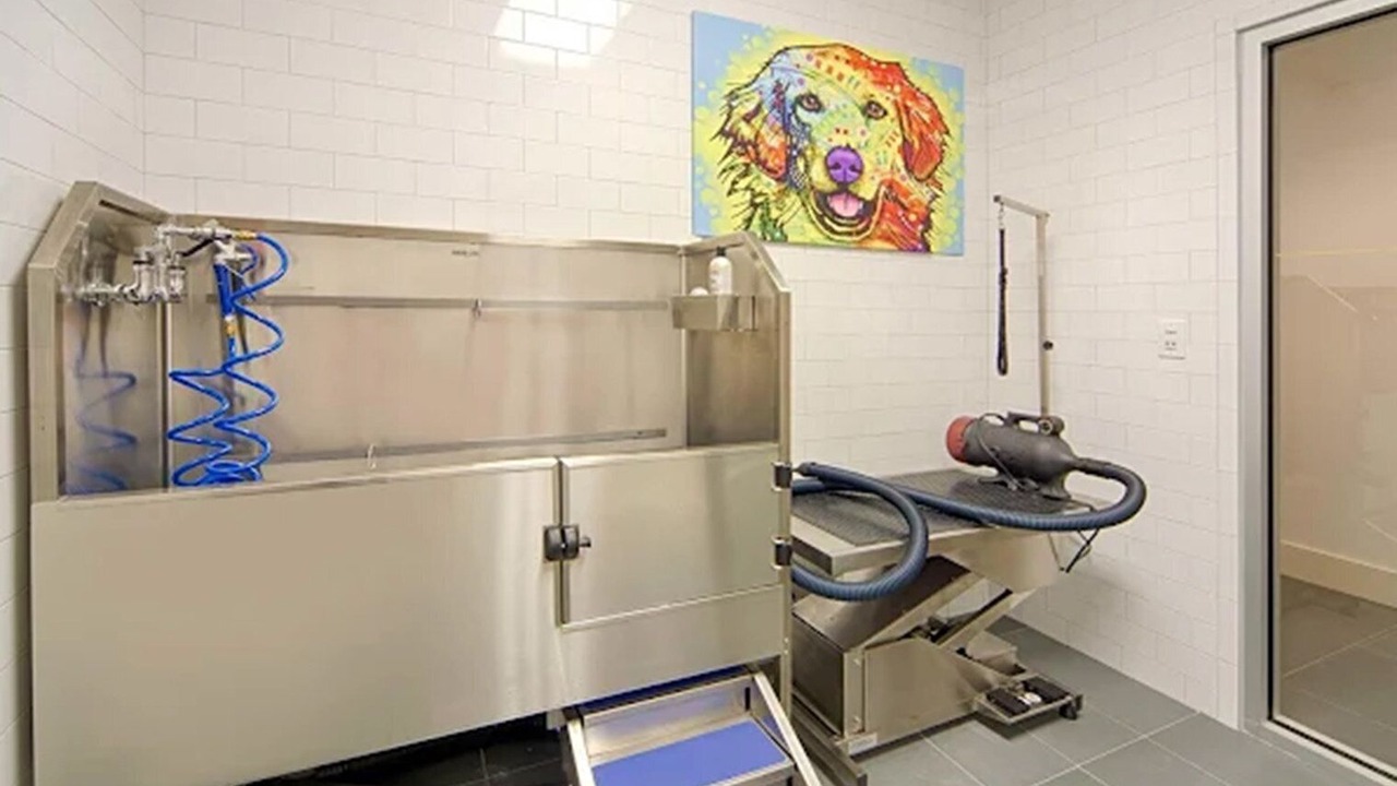 Photo of Others in Downtown Boston