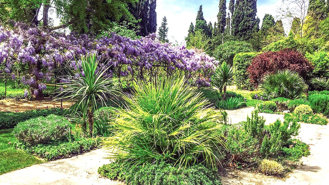 Photo of Others in Thezan-des-Corbieres