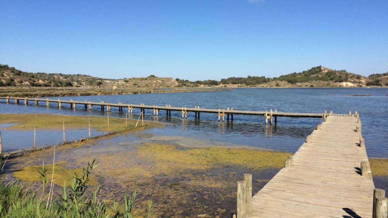 Photo of Others in Peyriac-de-Mer