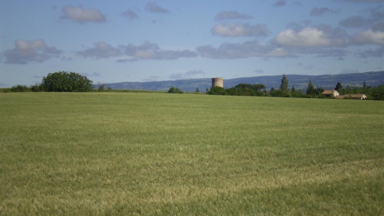 Photo of Others in Sainte-Eulalie