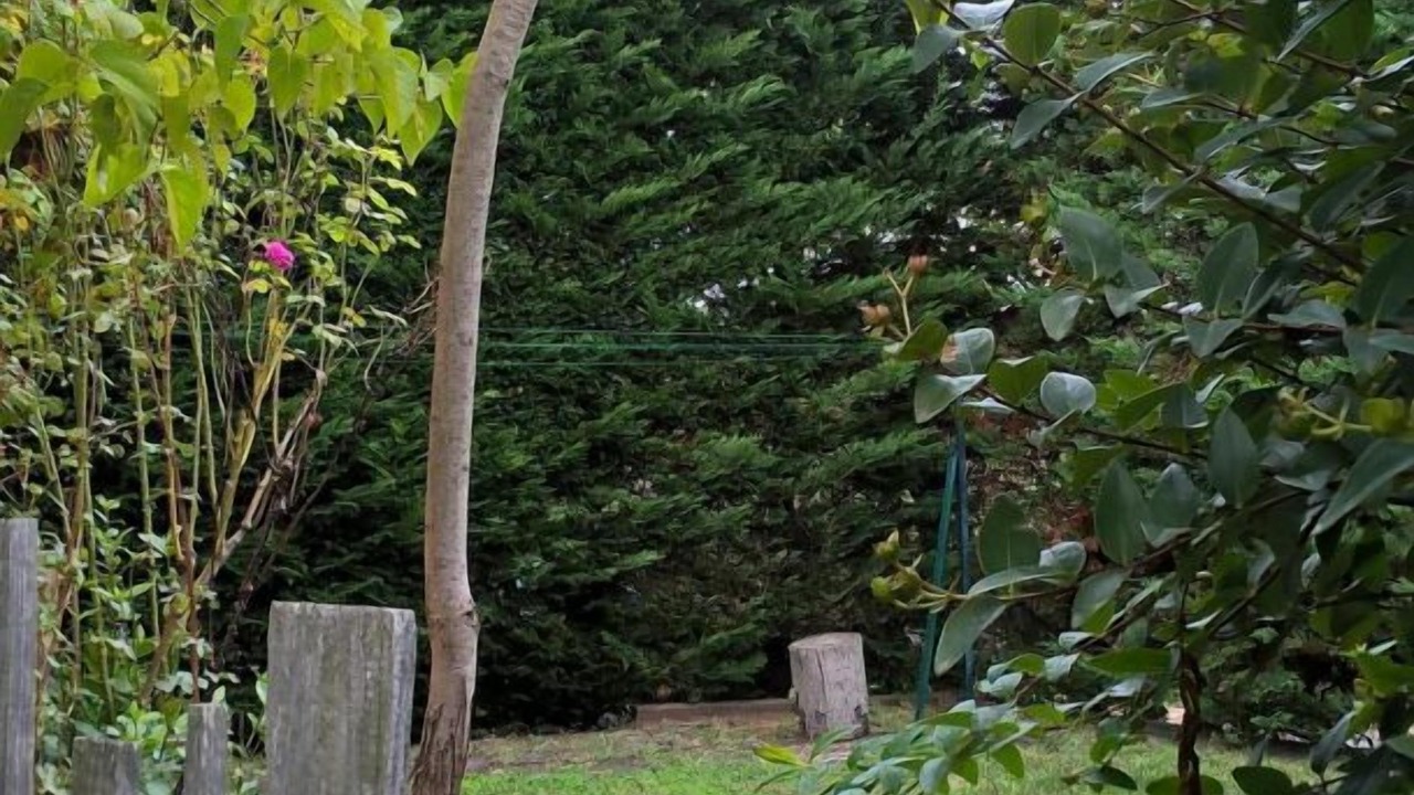 Photo of Outdoor in Rennes-le-Chateau