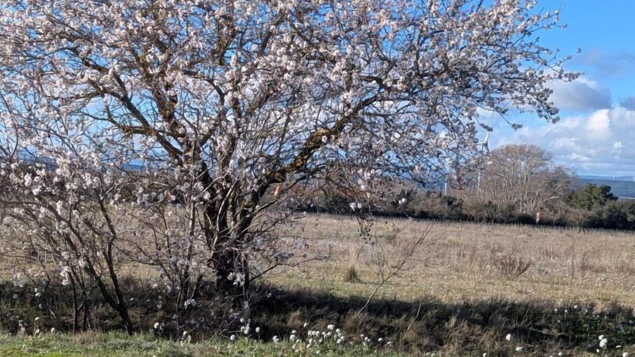 Photo of Others in Ferrals-les-Corbieres