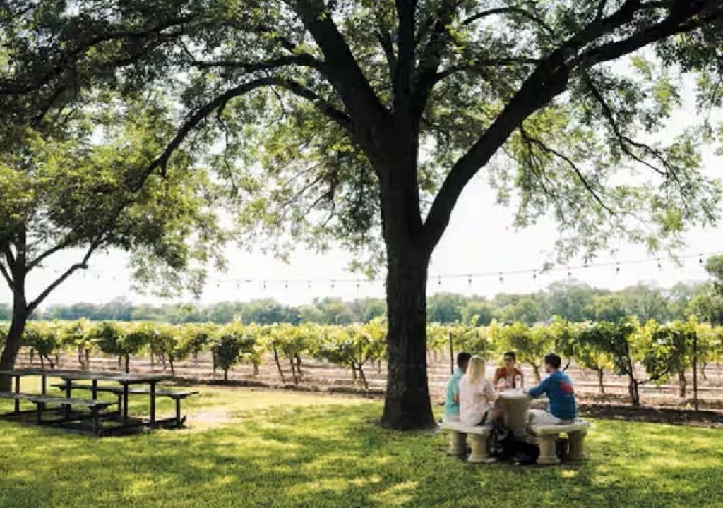 Photo of Outdoor in Amistad National Recreational Area