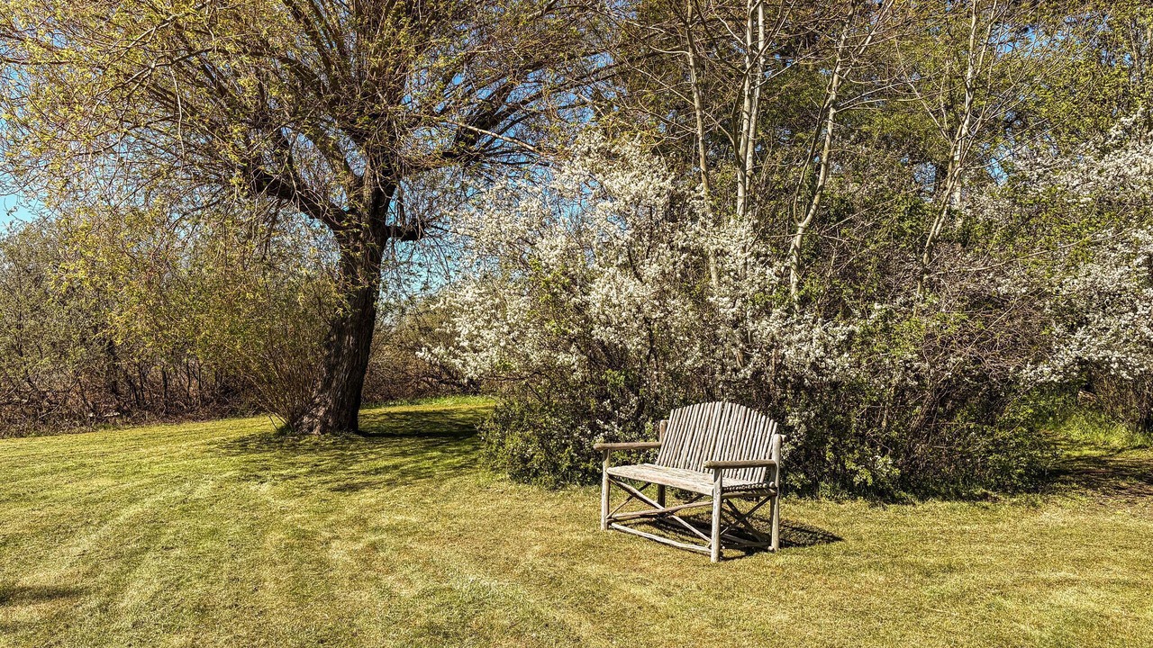 Photo of Others in Ramlose