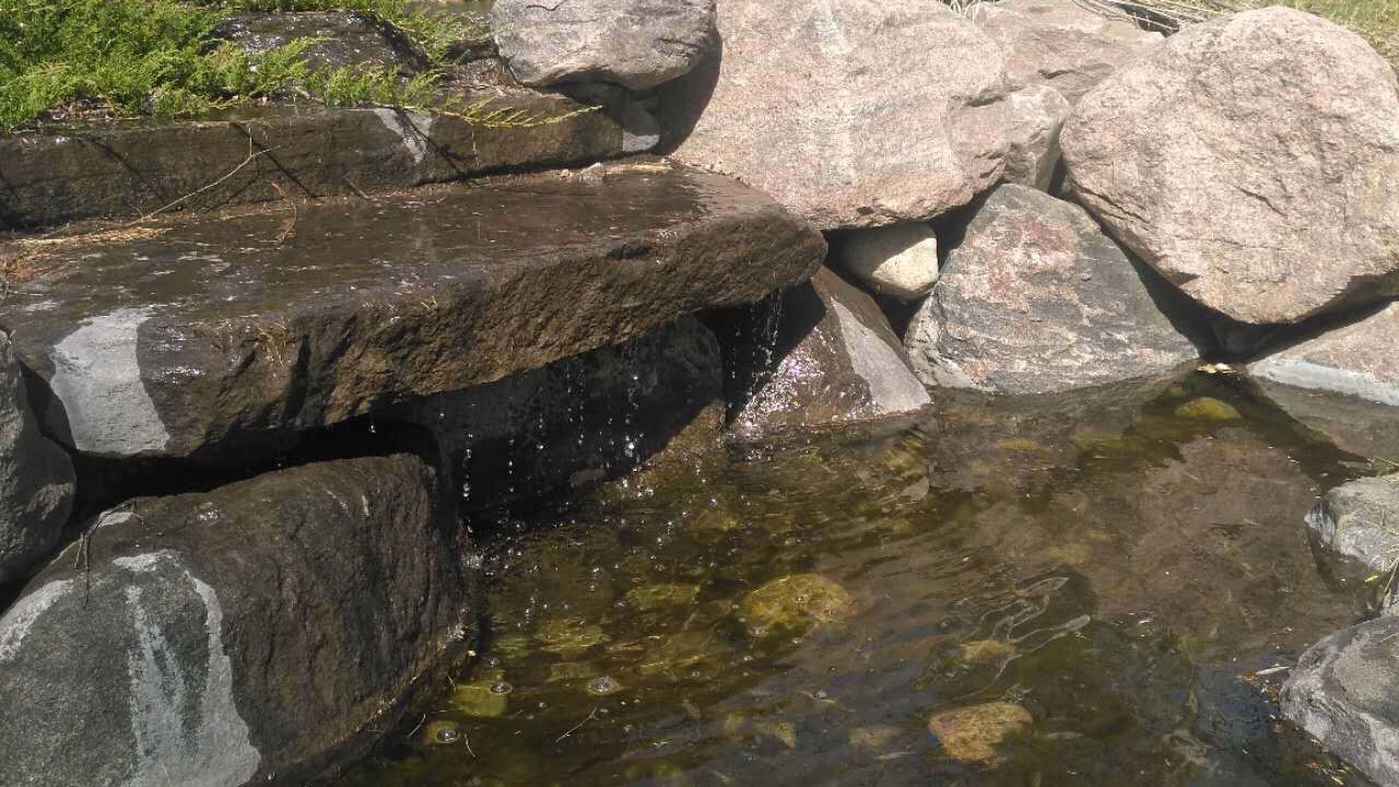 Photo of Outdoor in Adjala-Tosorontio