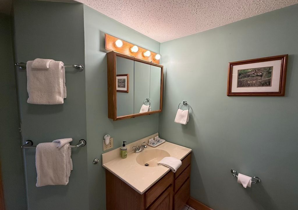 Photo of Bathroom in Silver Bay