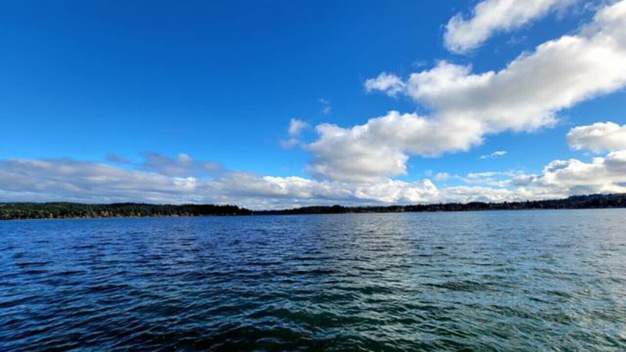 Photo of Others in Bremerton