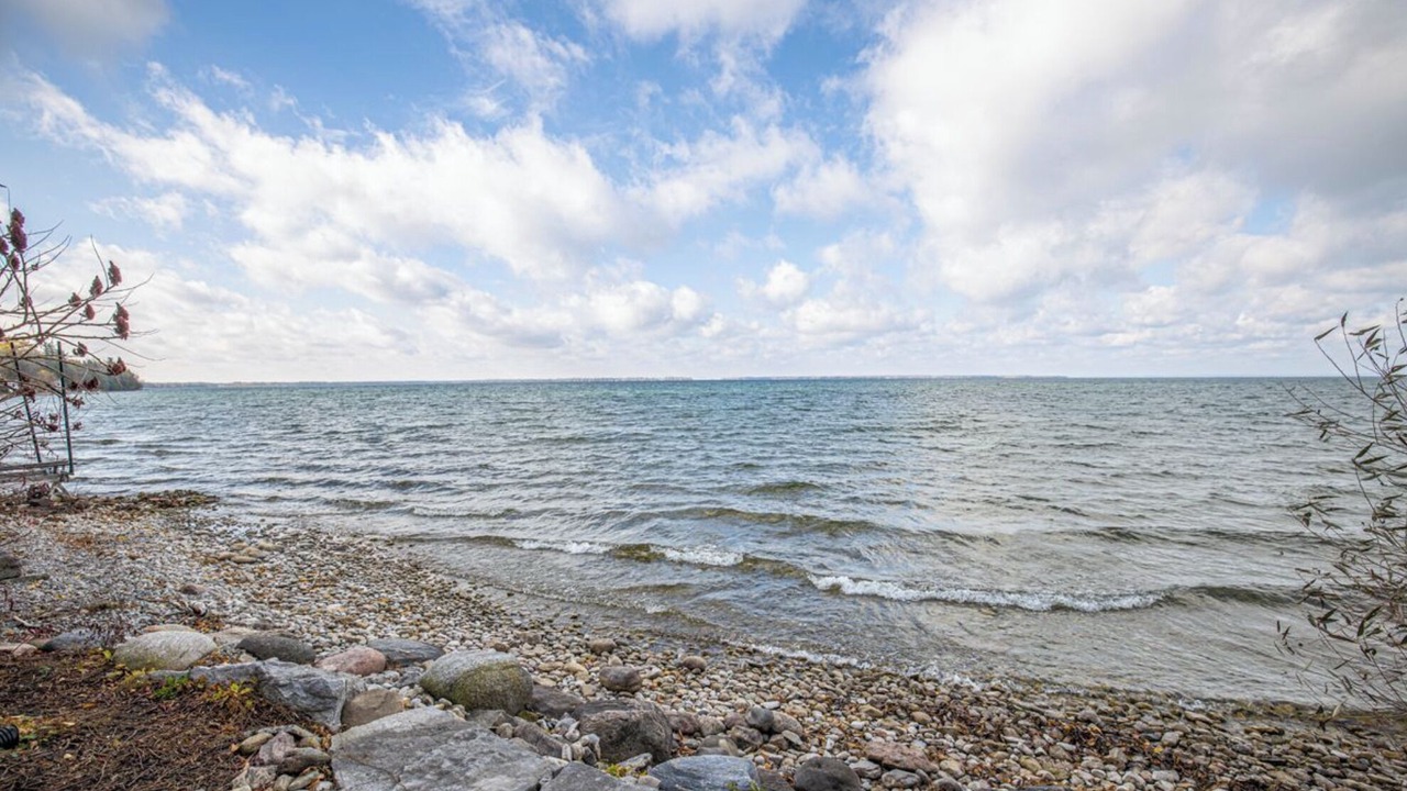 Photo of Others in Brock