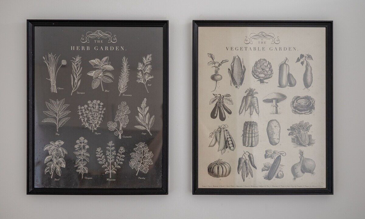 Photo of Others in Chelmsford