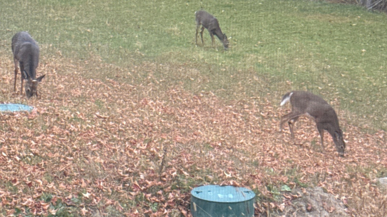 Photo of Others in Lanark Highlands