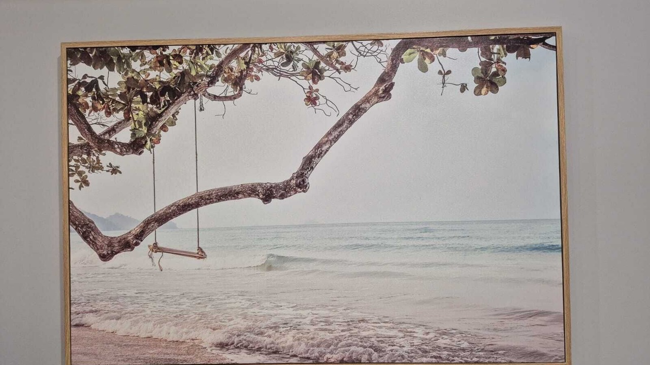 Photo of Others in Park Ridge