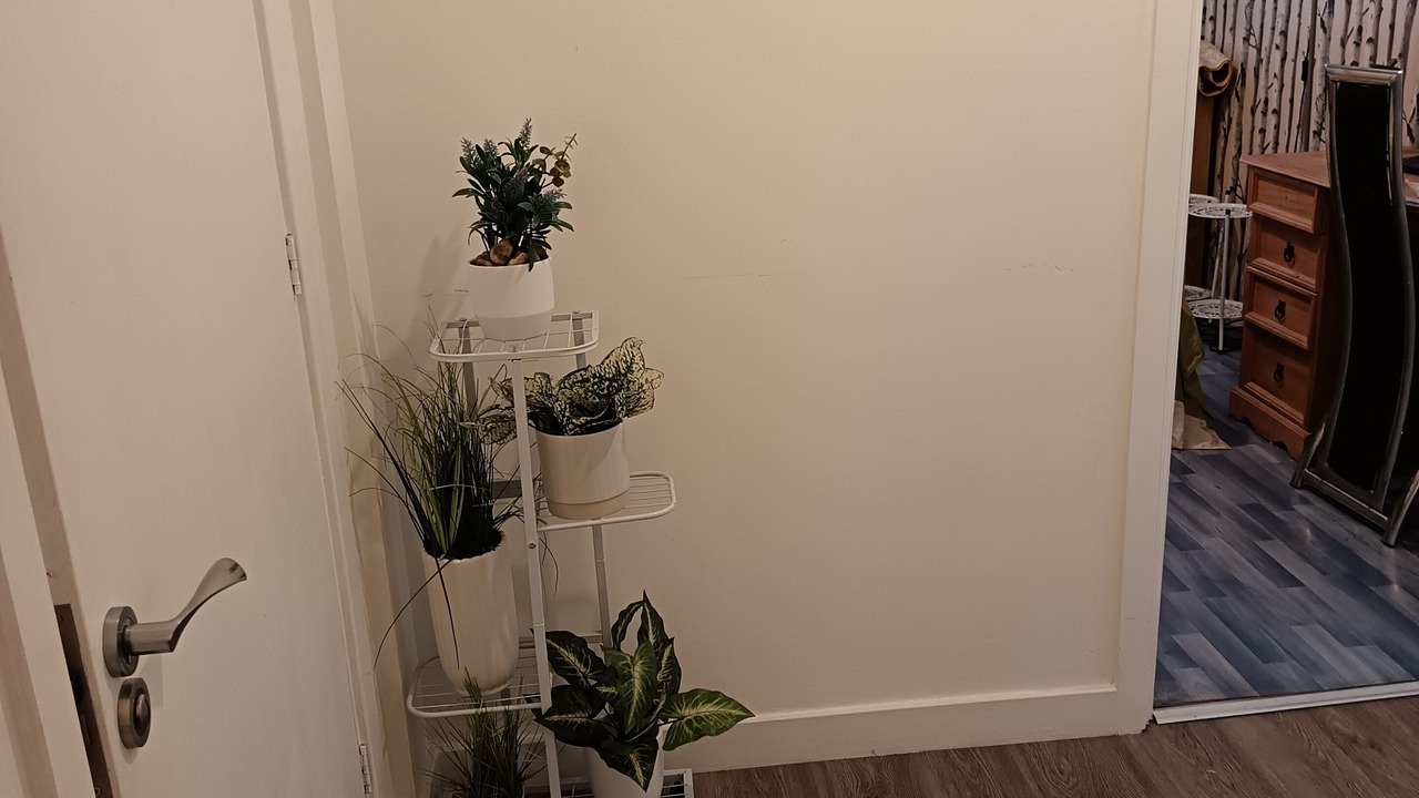 Photo of Others in Broad Green