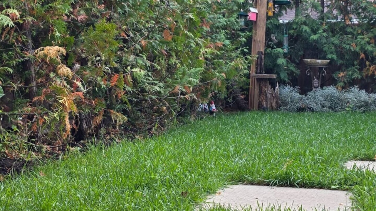 Photo of Outdoor in Lisgar
