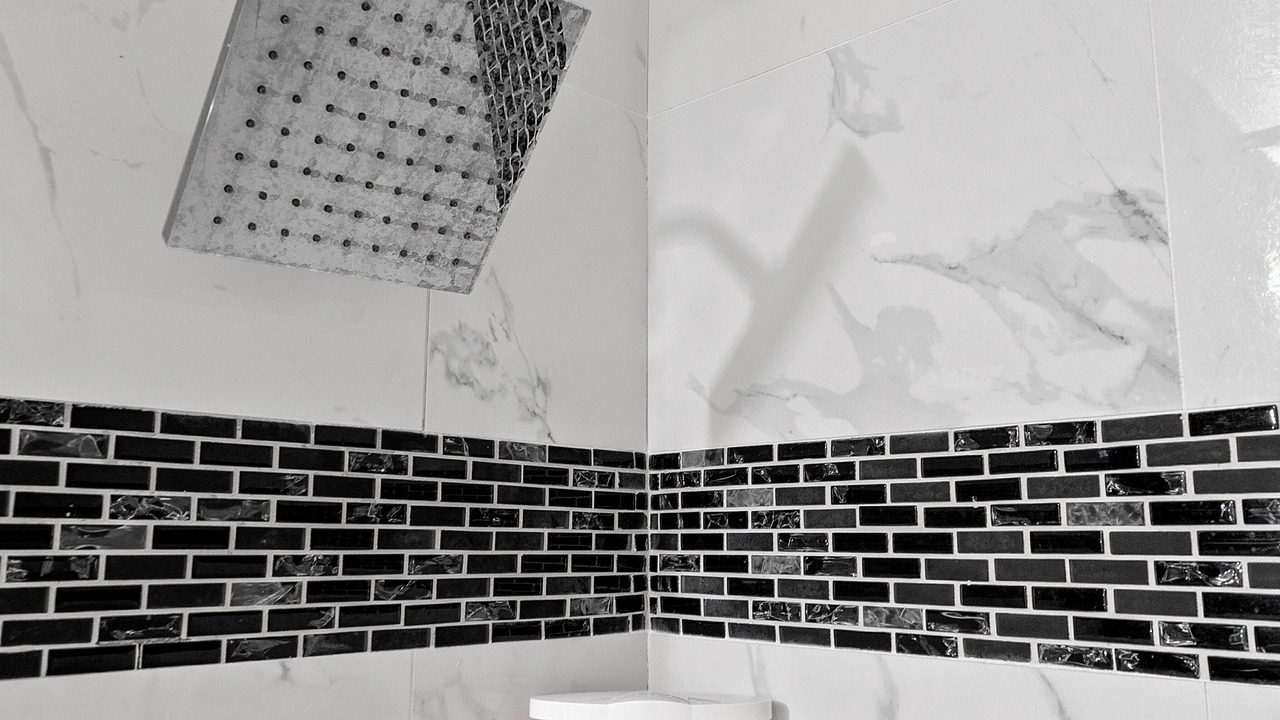 Photo of Others in Florida Central Atlantic Coast