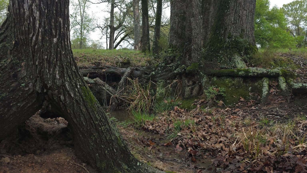Photo of Others in Oakwood