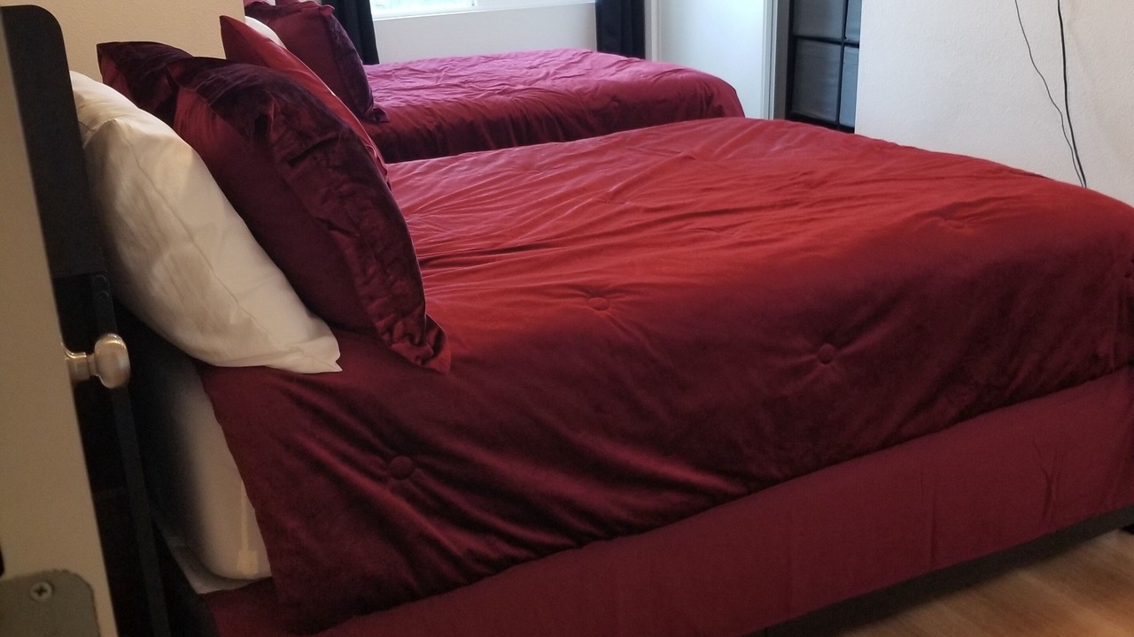 Photo of Bedroom in Winter Gardens