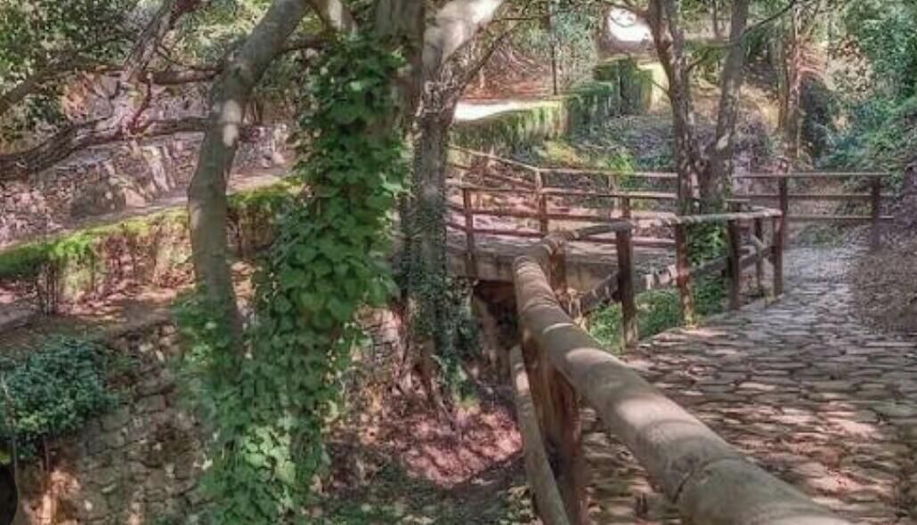 Photo of Outdoor in Viver