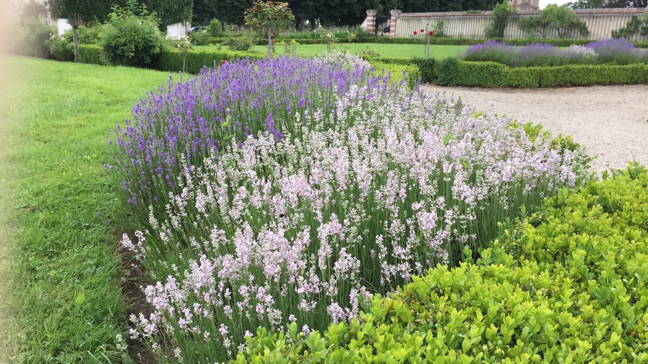 Photo of Outdoor in Ocquerre