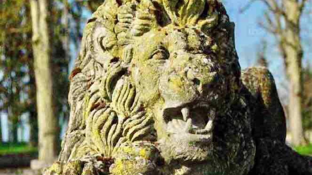 Photo of Outdoor in Ocquerre