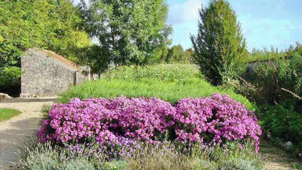 Photo of Outdoor in Ocquerre