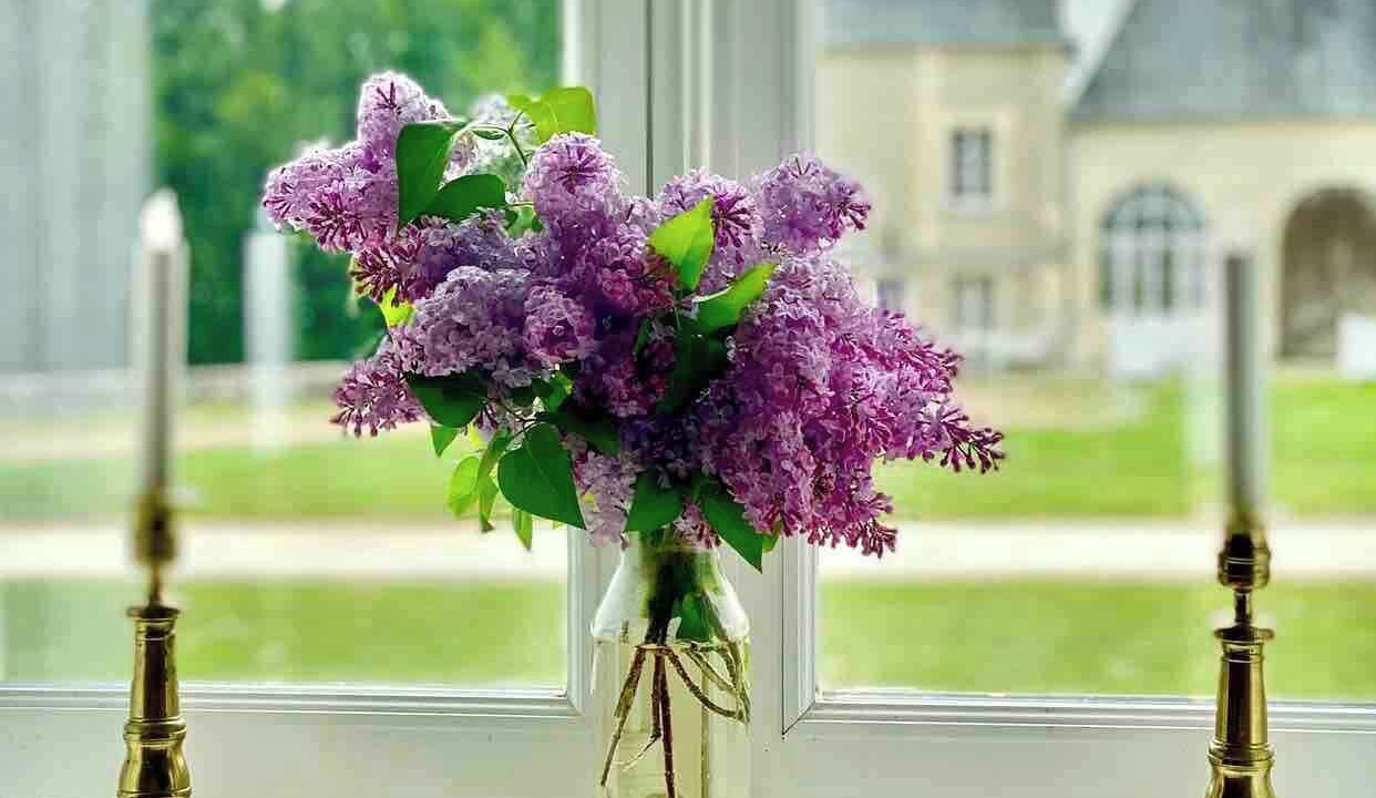 Photo of Others in Ocquerre