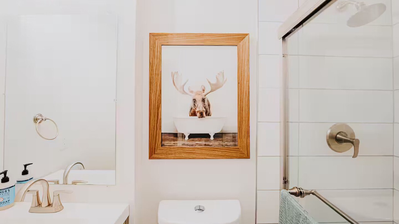 Photo of Bathroom in Soulard