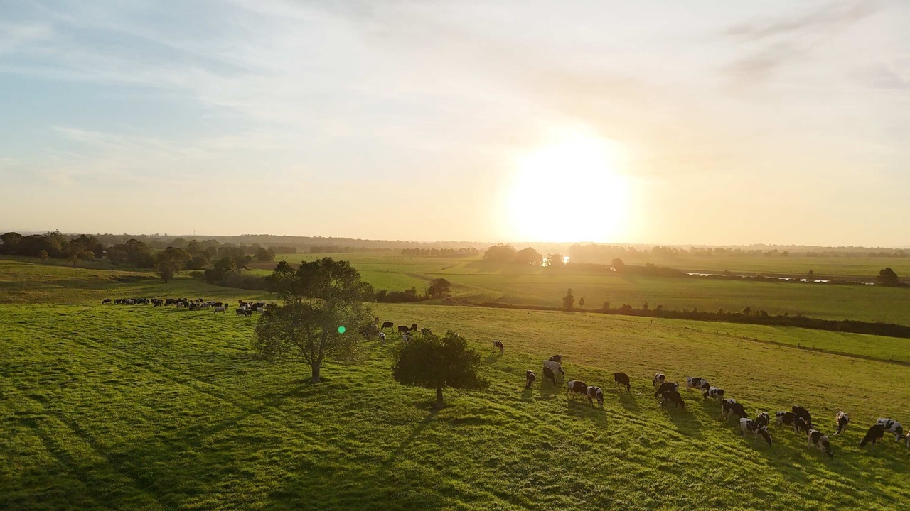 Photo of Others in Duckenfield