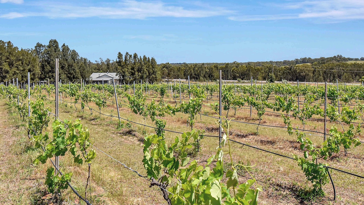 Photo of Others in Pokolbin