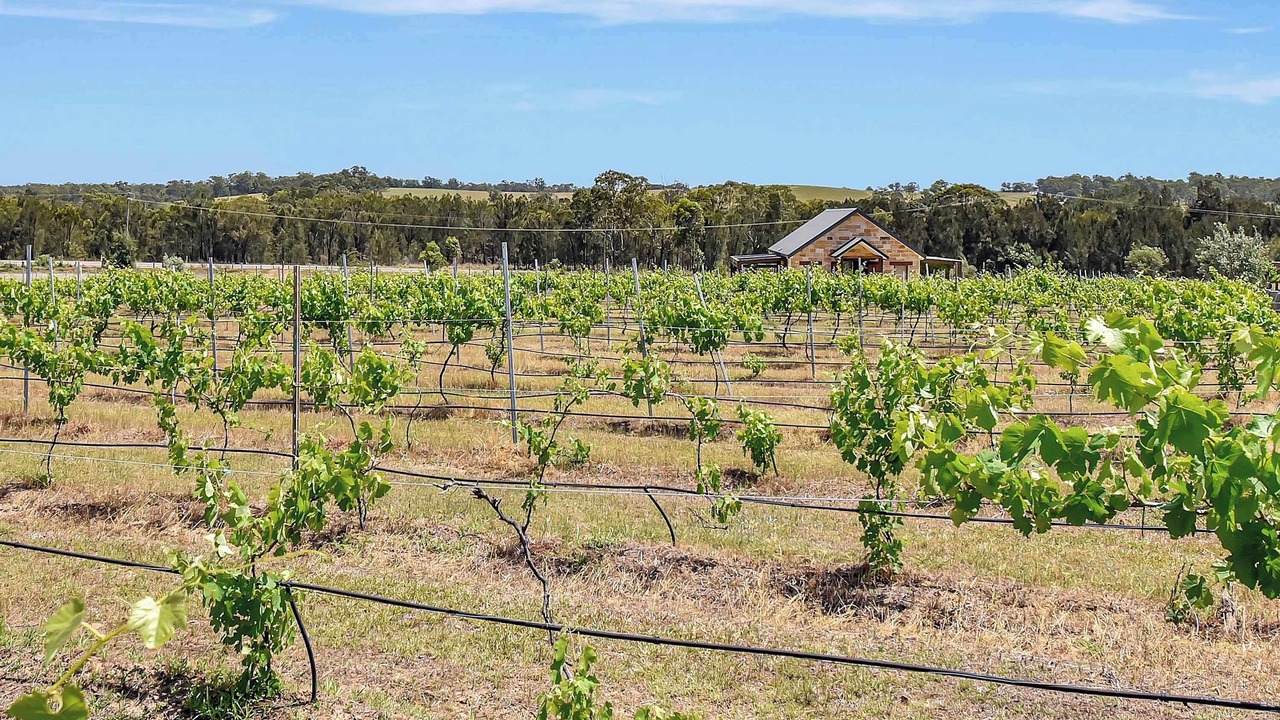 Photo of Others in Pokolbin