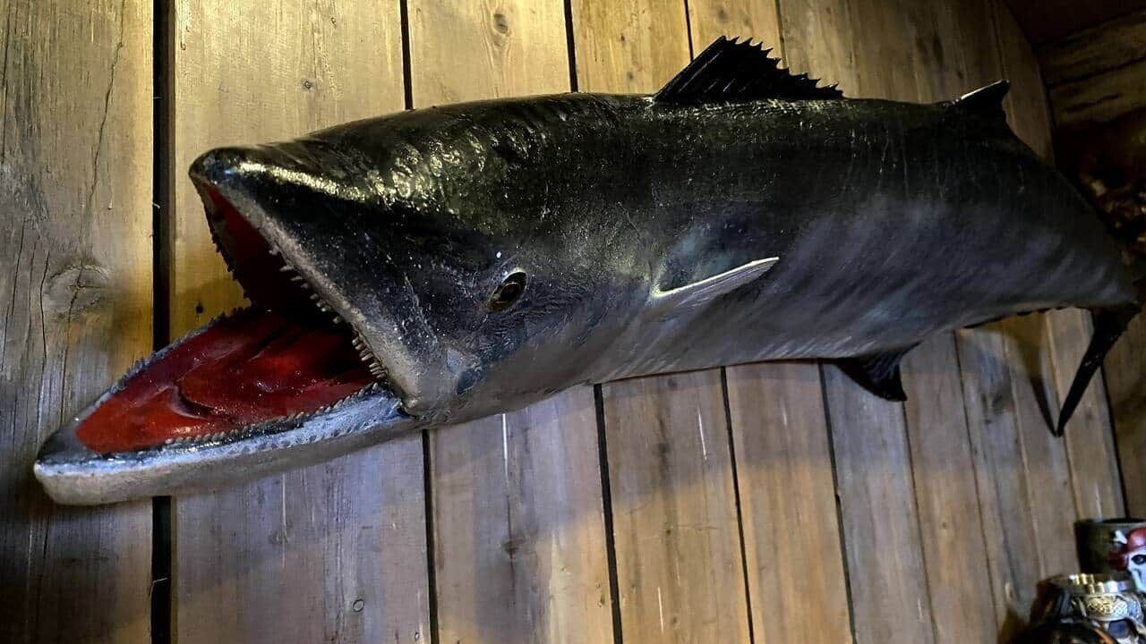 Photo of Others in Bethania