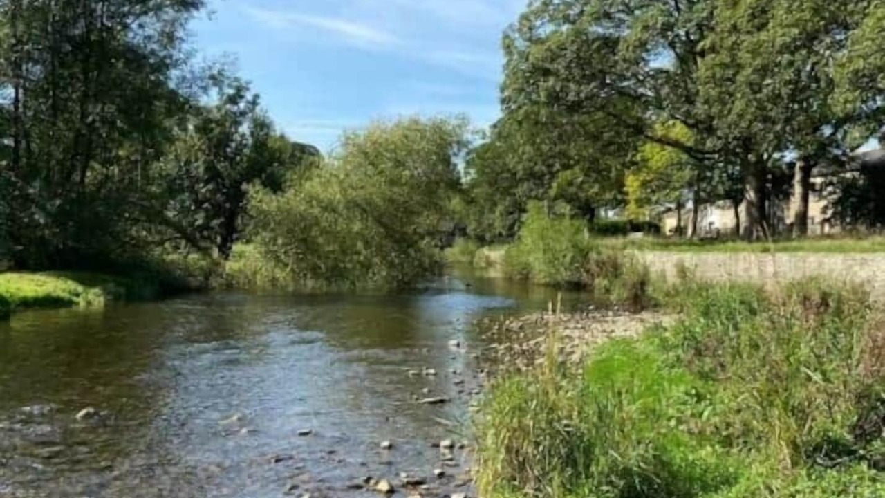 Photo of Others in Eshton