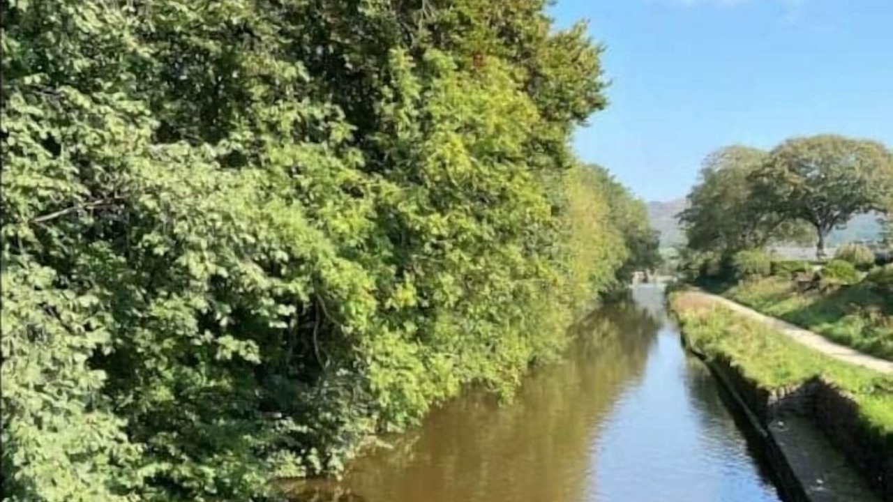 Photo of Others in Eshton