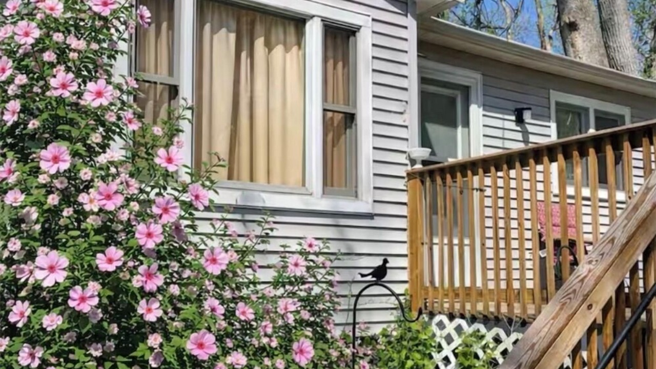 Photo of Outdoor in Madison