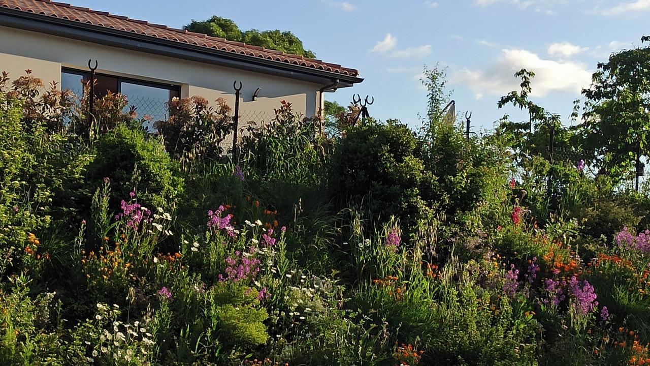 Photo of Outdoor in Herepian