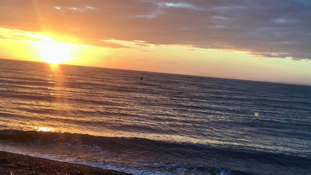 Photo of Others in Oak Harbor