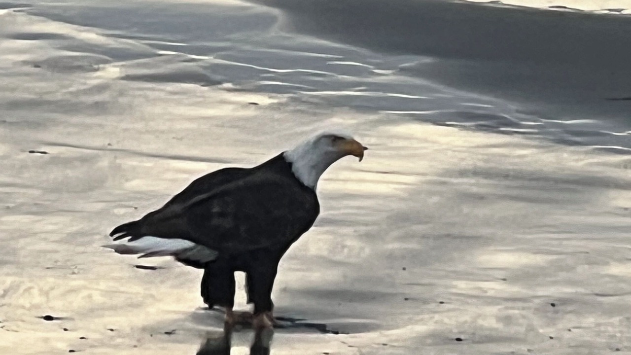 Photo of Others in Oak Harbor